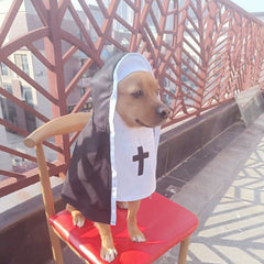 Pet clothes repair dog costume breathable funny cos photo