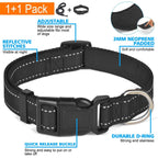 Adjustable Dog Leash for Walking, Training & Outdoor Adventures