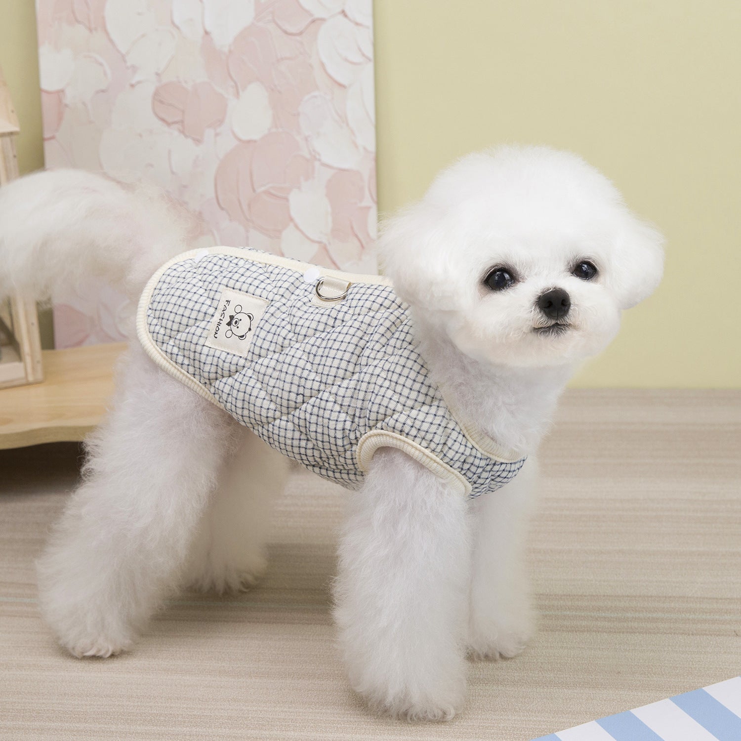 Bichon Frise Pet Clothes - beotariky