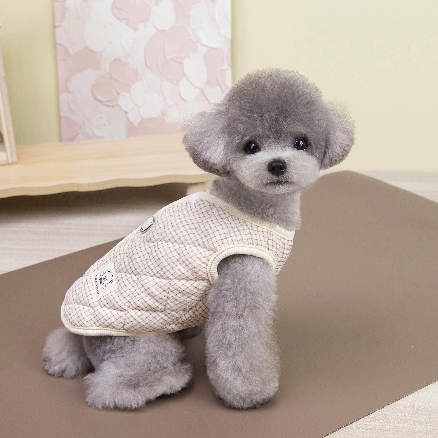 Bichon Frise Pet Clothes - beotariky
