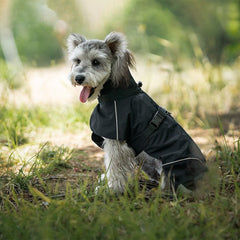 Dog Raincoat Medium and Small Dog poncho raincoat