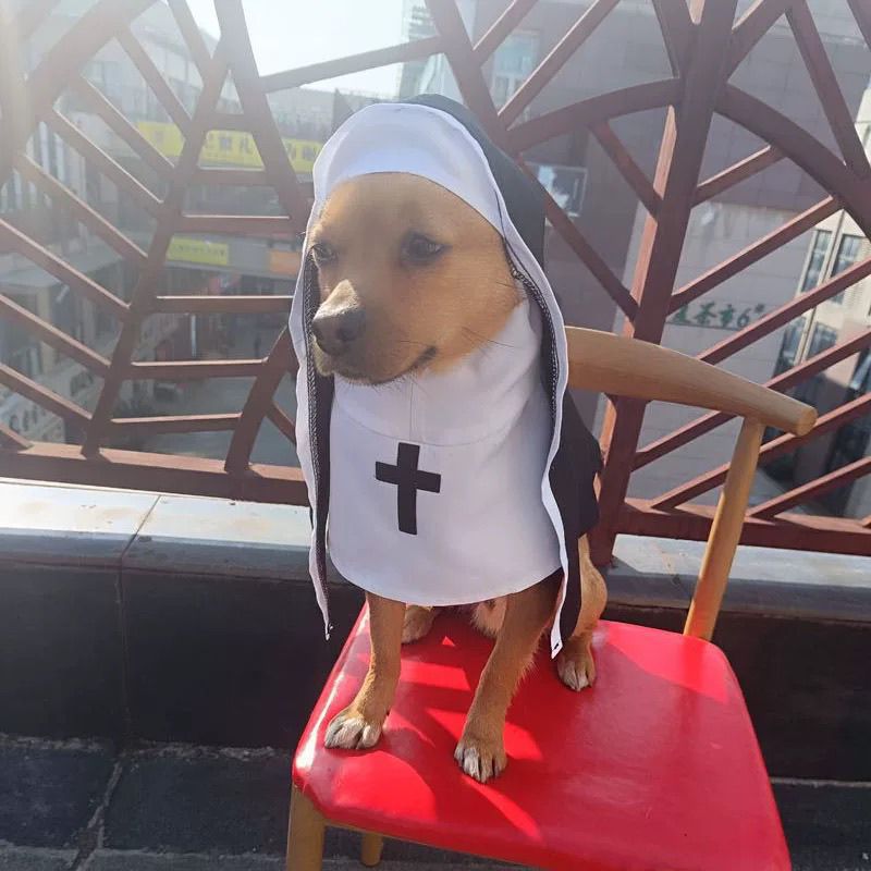 Pet clothes repair dog costume breathable funny cos photo