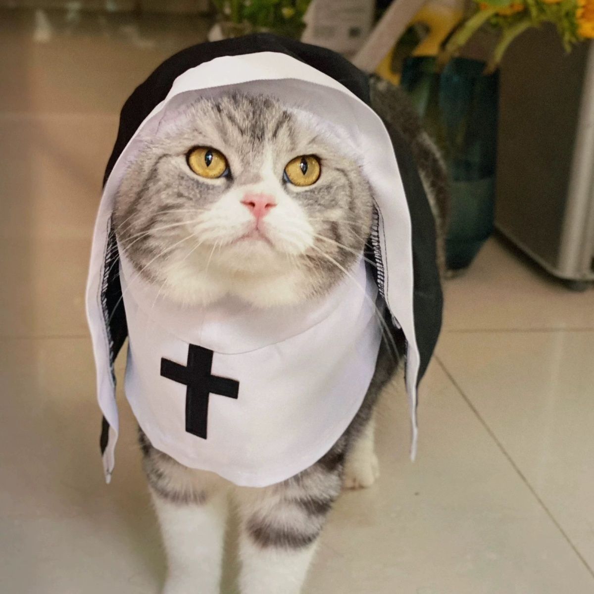 Pet clothes repair dog costume breathable funny cos photo