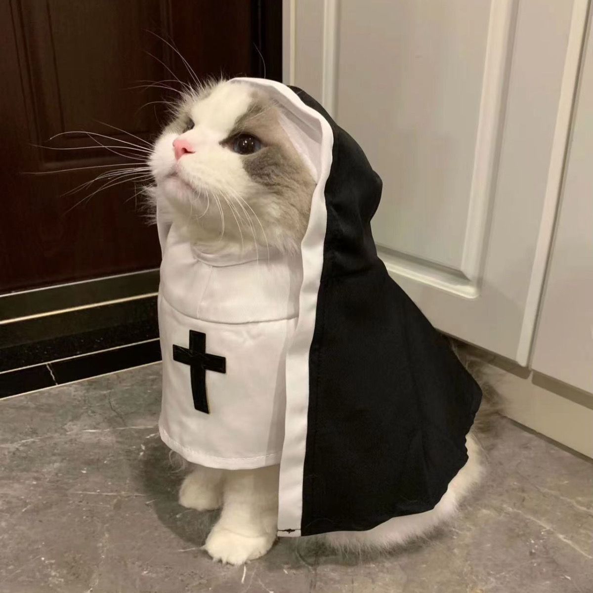 Pet clothes repair dog costume breathable funny cos photo