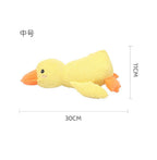 Pet toys, dog chewing toys